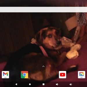 Meet your Posher, Peggy